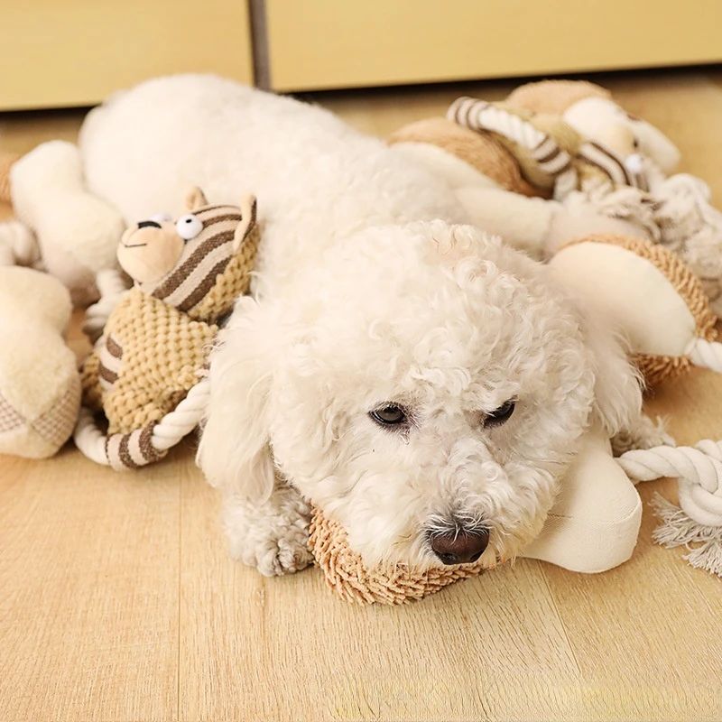Pet Cotton Rope Toy Dog Sound Canvas Molar Teeth Cleaner Bite-resistant Rope Knot Training Dog Toys Dog Toothbrush Dog Toys — image 8