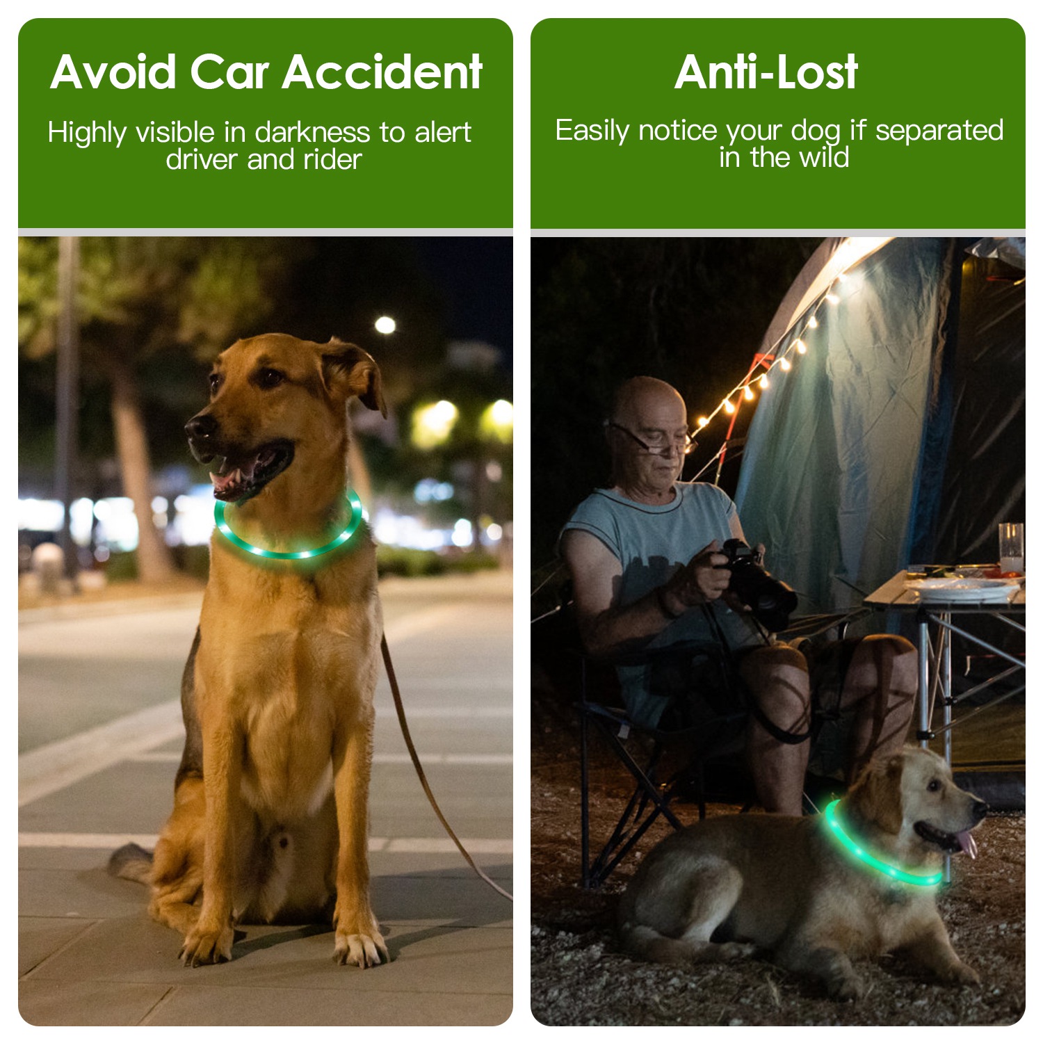 Collar de Perro LED Recargable con Iluminación Multicolor para Caminatas Nocturnas Seguro para Pequeños, Medianos y Grandes Perros — imagen 6