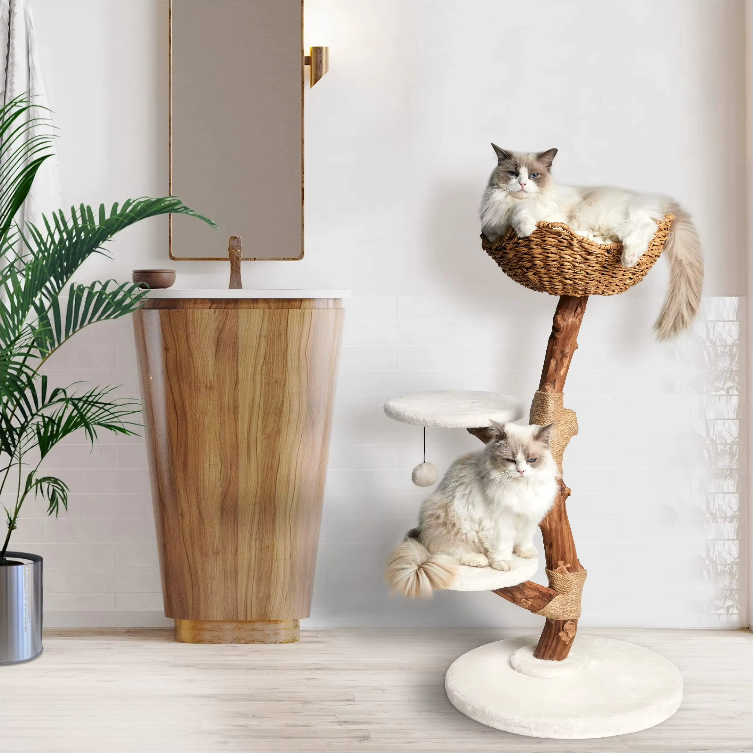Árbol de Gato de Luxo de Diseño Nueva Fábrica: Árbol de Ramas Reales de Madera para Gatos con Plataforma en el Techo y Pisos de Suelo a Techos — imagen 1