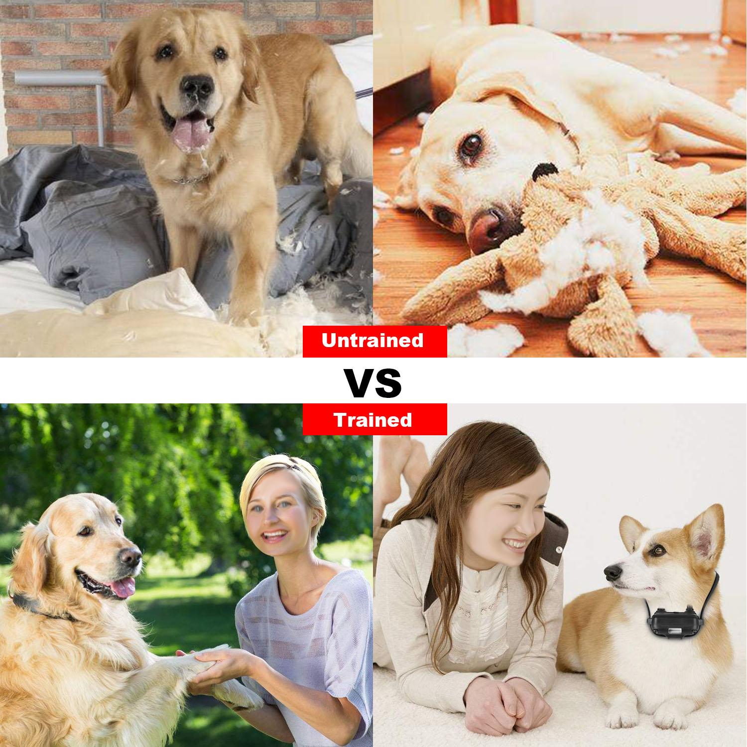 Cinturón de Adiestramiento para Perros con Control Remoto IP67 Resistente a Agua y Polvo Pet Trainer 300mAh Recargable 875 Yardas Control Remoto 4 Modos Niveles Ajustables — imagen 14