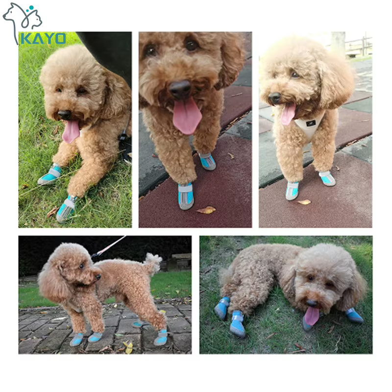 Zapatillas de Perro de Red para Pequeños Perros - Transpirables, Suaves y Reflejos para Caminar y Escalar — imagen 5