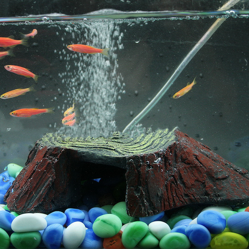 Suministros de Reptiles Rocalla para Balcony — imagen 3
