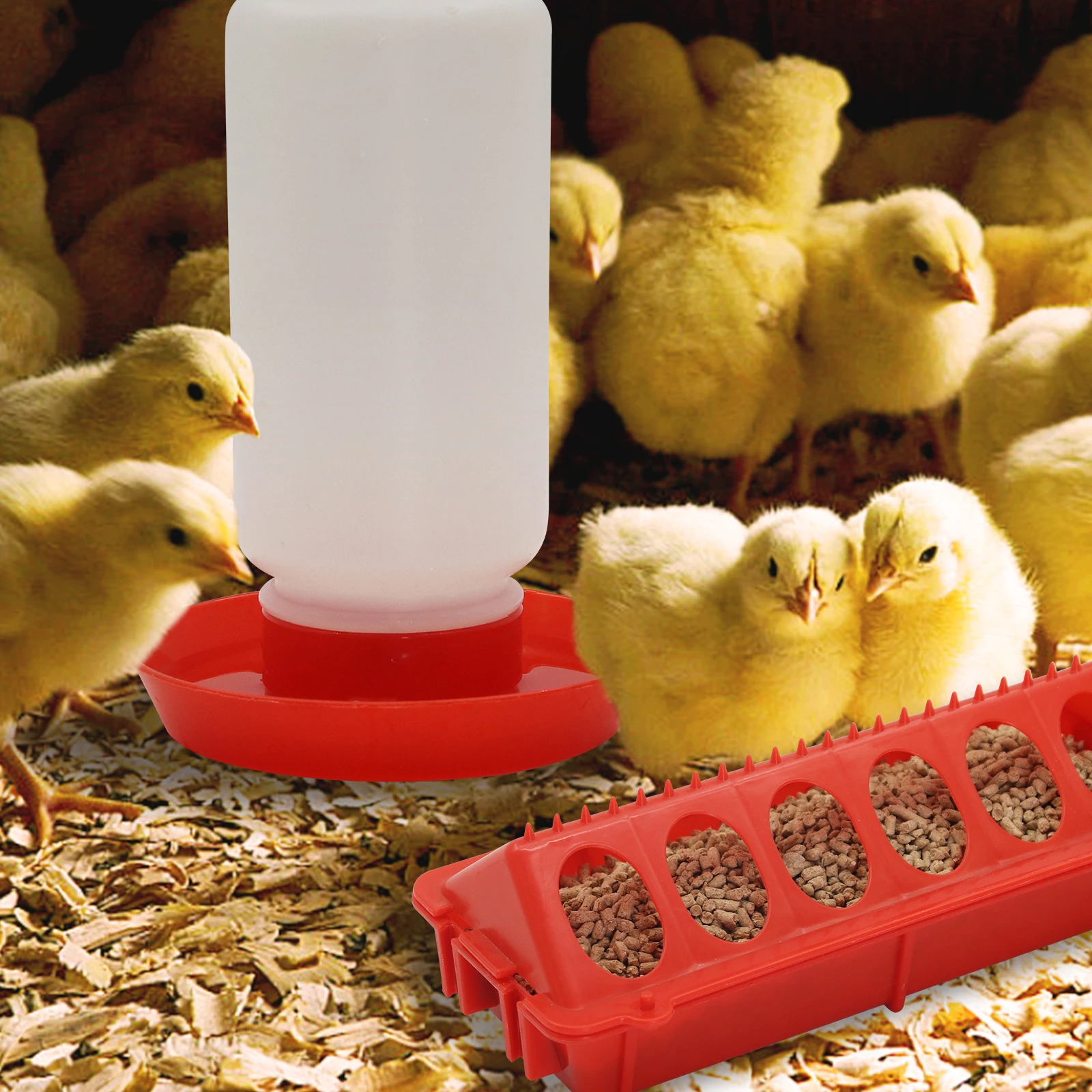 Alimentador Automático de Agua para Pollos, Faisanes y Polluelos – Caja de Alimento Automática, Pequeño Dispensador de Agua Automático — imagen 1