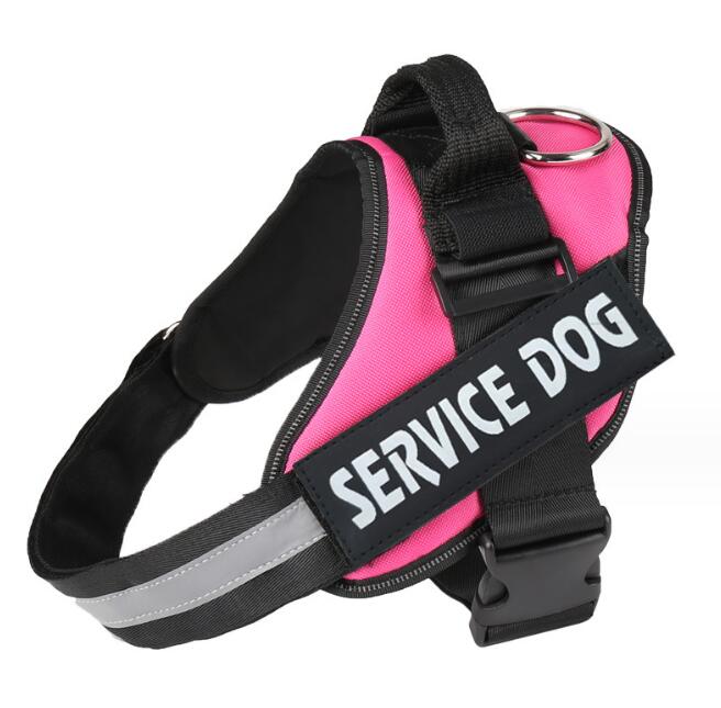 Cinturones de Pecho para Perros de Servicio - Medio y Grande — imagen 3