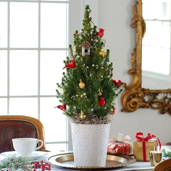 12 Pzas Pájaros Cardenales para Manualidades, Mini Cardenales con Clip para Árbol de Navidad, Adornos de Pájaros Rojos Artificiales para Coronas y Centros de Mesa DIY, Terciopelo Rojo y Plumas — imagen 3