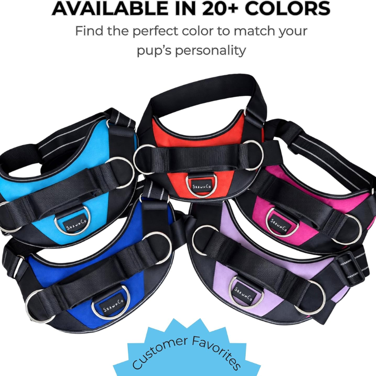 ShawnCo Essential Dog Harness, No-Pull Pet Vest Oceanic Blue, S — image 3