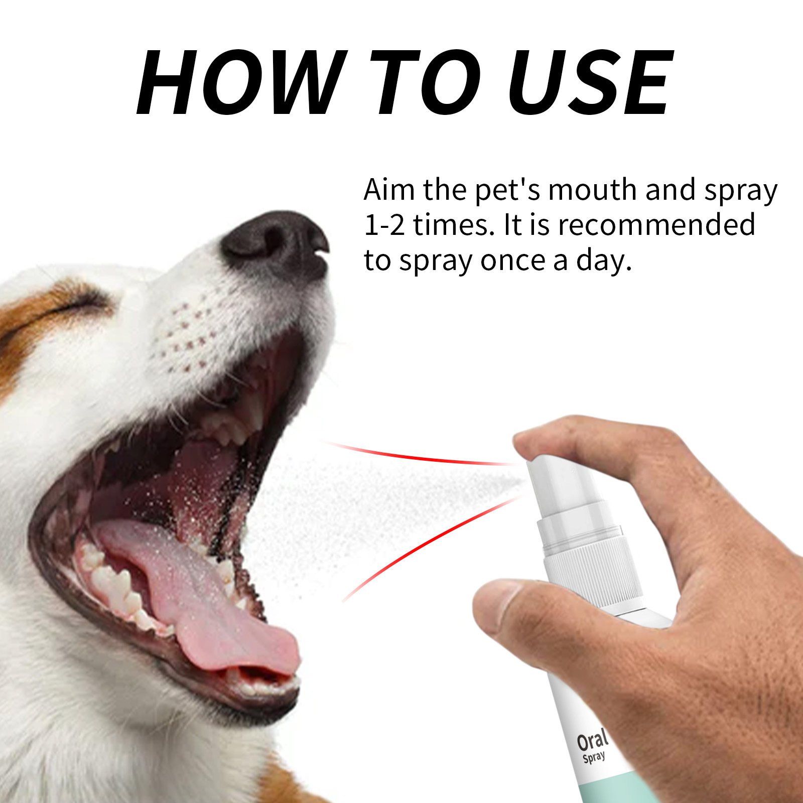 Pet Mint Fresh Breath Spray, Clean Your Dog's Bad Breath Fresh Breath Care — image 8