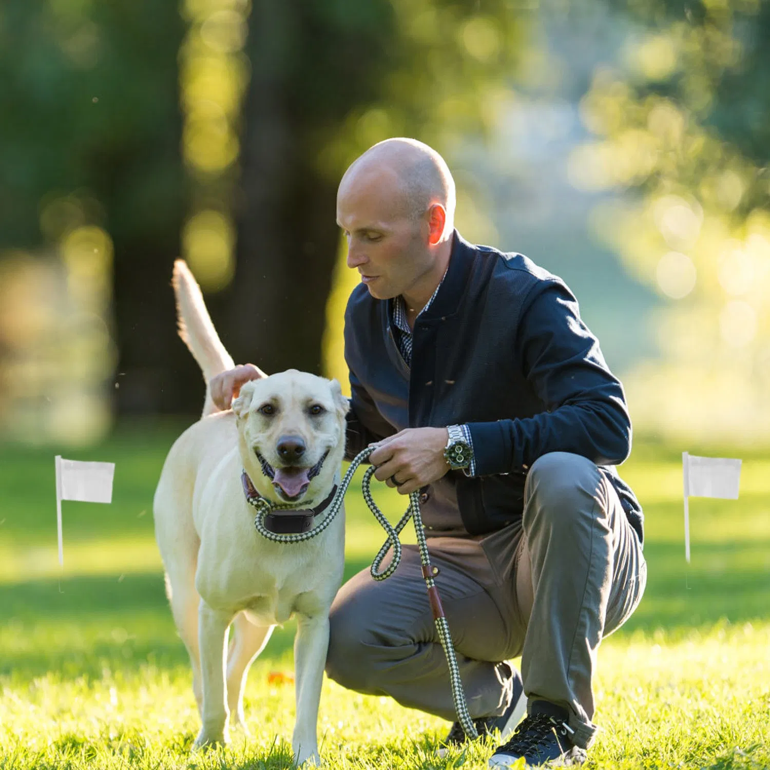 Sistema de Contención para Perros con Collar de Choque Eléctrico Pet Tone, Resistente al Agua, para Perros Pequeños, Medianos y Grandes — imagen 5