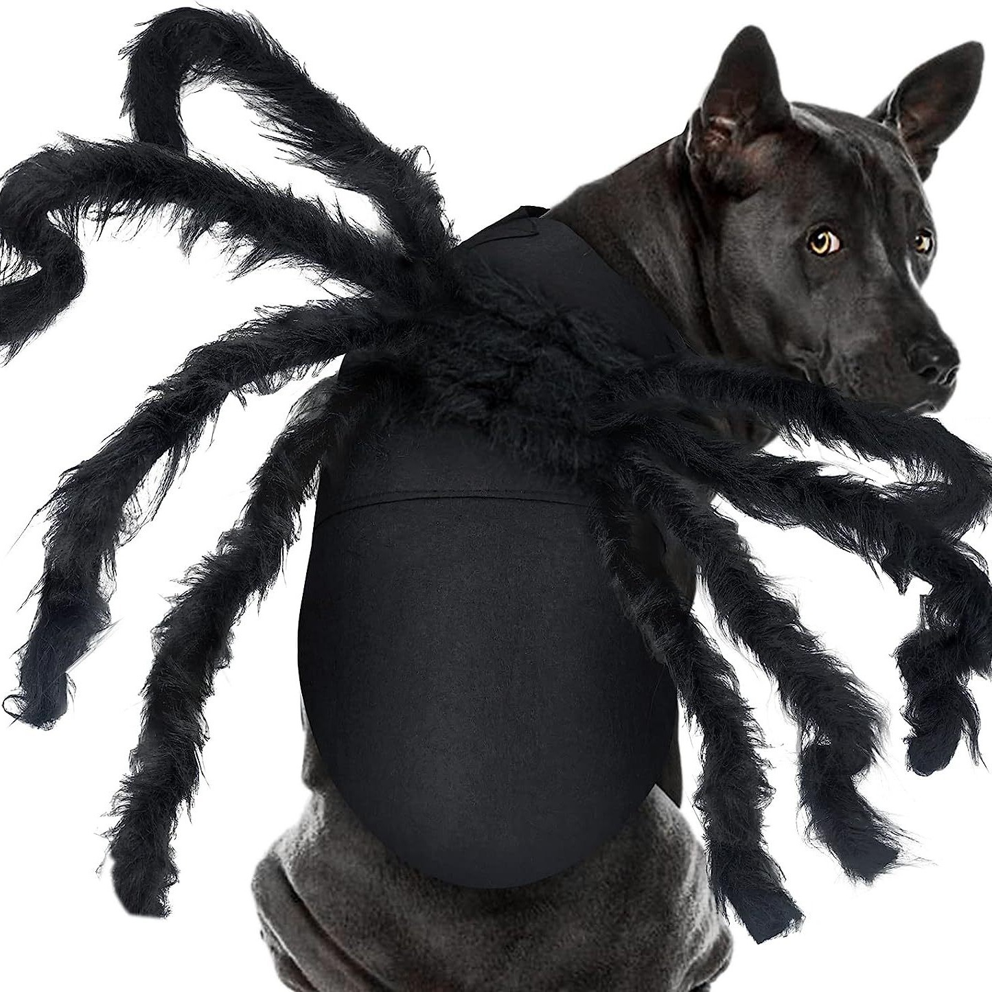 Halloween pet prop bat wings — image 2
