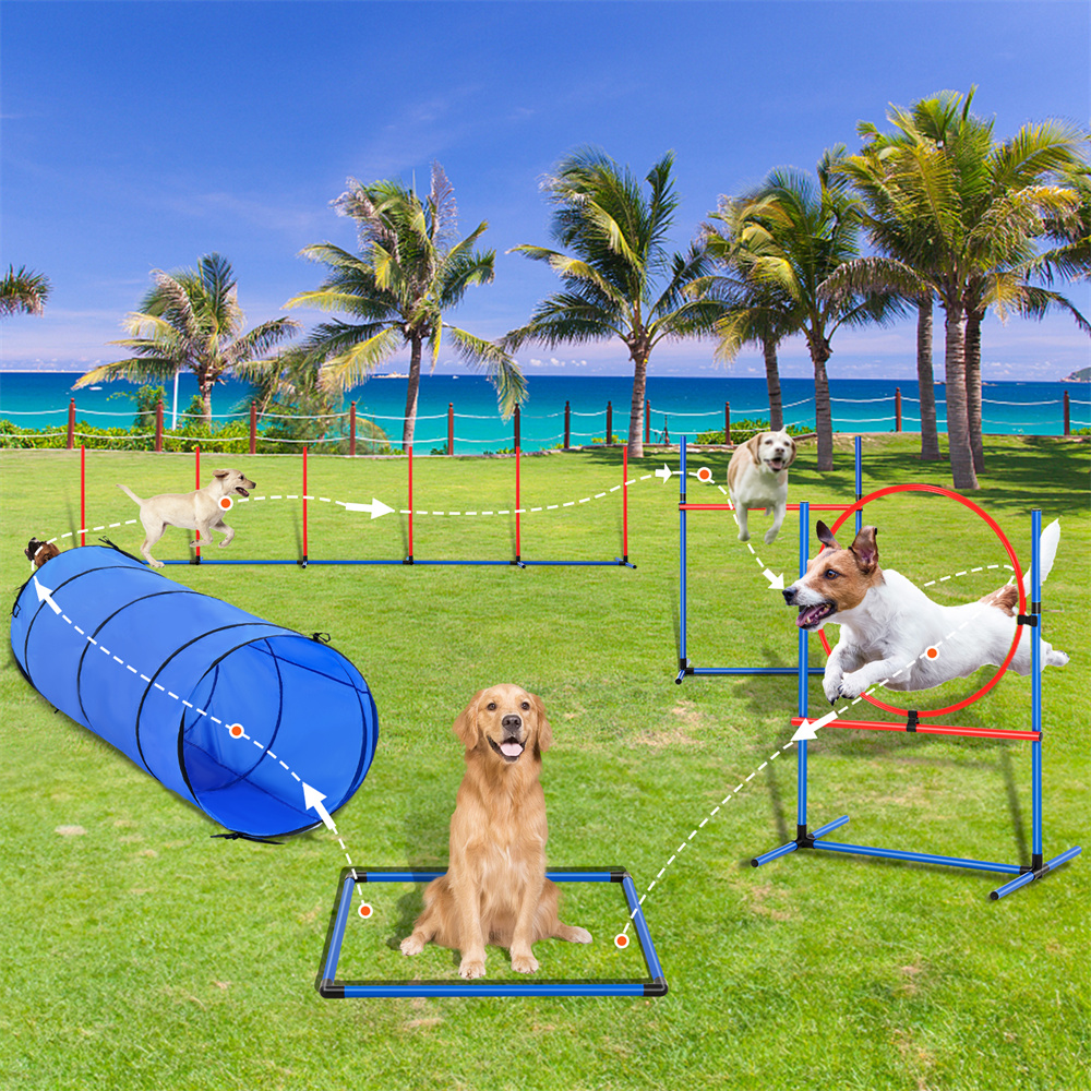 Equipo de Entrenamiento de Agilidad para Perros 5 Piezas - Obstáculos, Túnel y Salto — imagen 2
