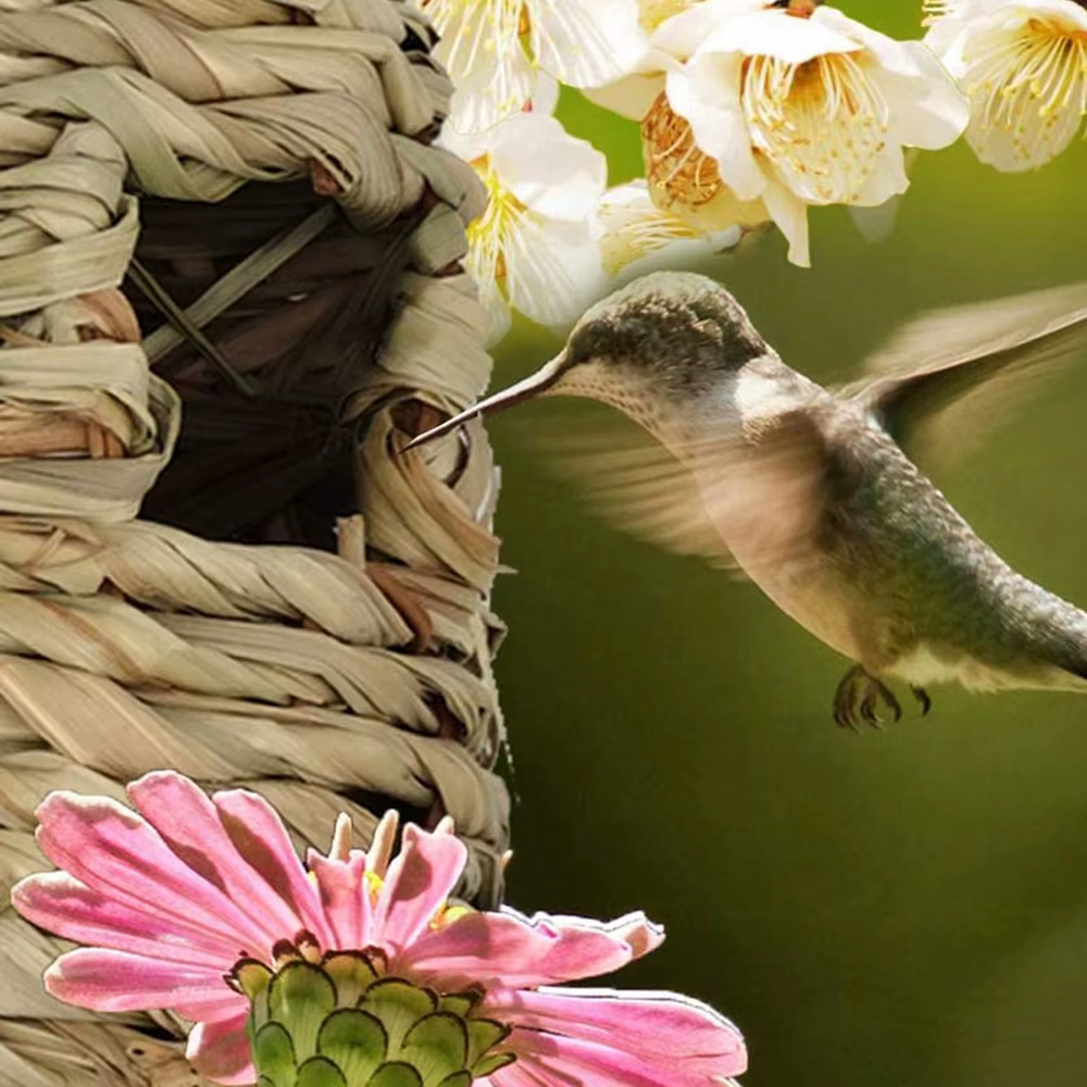 Casa de pájaro artesanal para exterior con diseño tejido creativo para colgar - Nido de pájaros decorativo para jardín — imagen 2