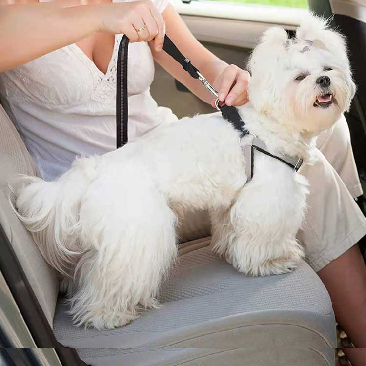 Cuerda de Trazo para Perros al Aire Libre Resistente a Explosiones para Múltiples Uso, Cinturón de Trazo Elástico Reflectante — imagen 3