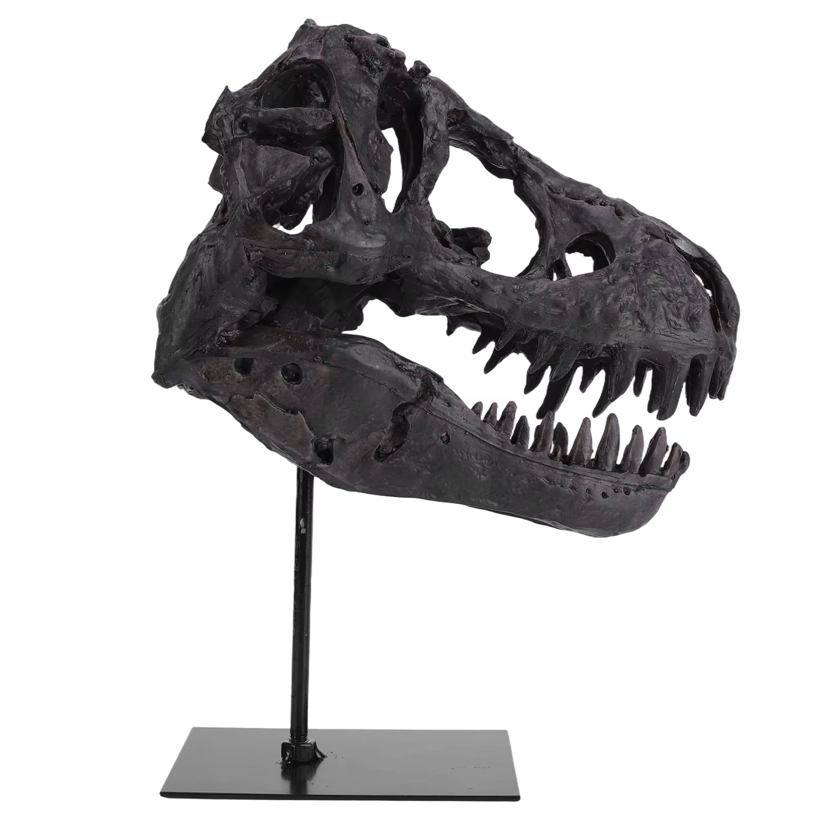 Dinosaur Skull Statue Resin Replica Head Sculptures with Bracket Skull Sculptures Gift for Kids and Adults — image 4
