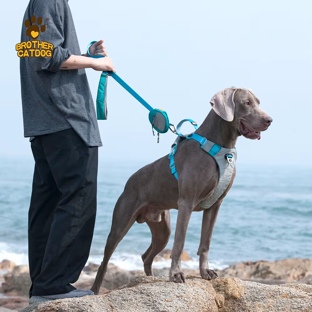 Vestido de Refuerzo Reflectivo para Perros de Tamaño Medio Grande y Pequeño - Cinturón de Servicio Canino — imagen 6