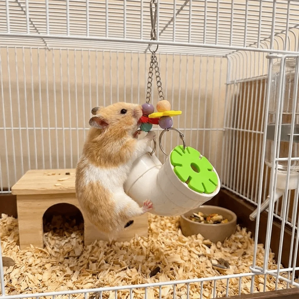 Creative Colorful Hamster Foraging Pipeline Plastic Bite Resistant Pet Bird Toys Hidden Snack Games Parrot Hanging Toys Training — image 1
