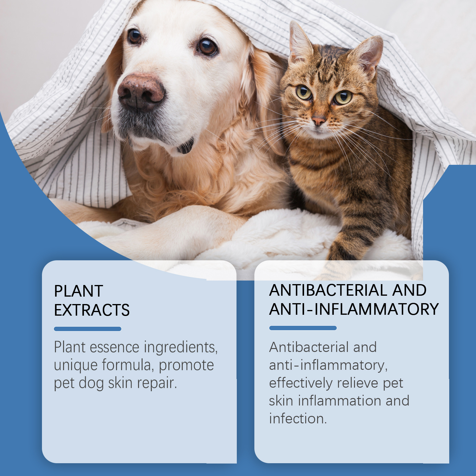 Spray para Cuidado de la Piel Canina y Felina - Brillanteza Natural — imagen 5