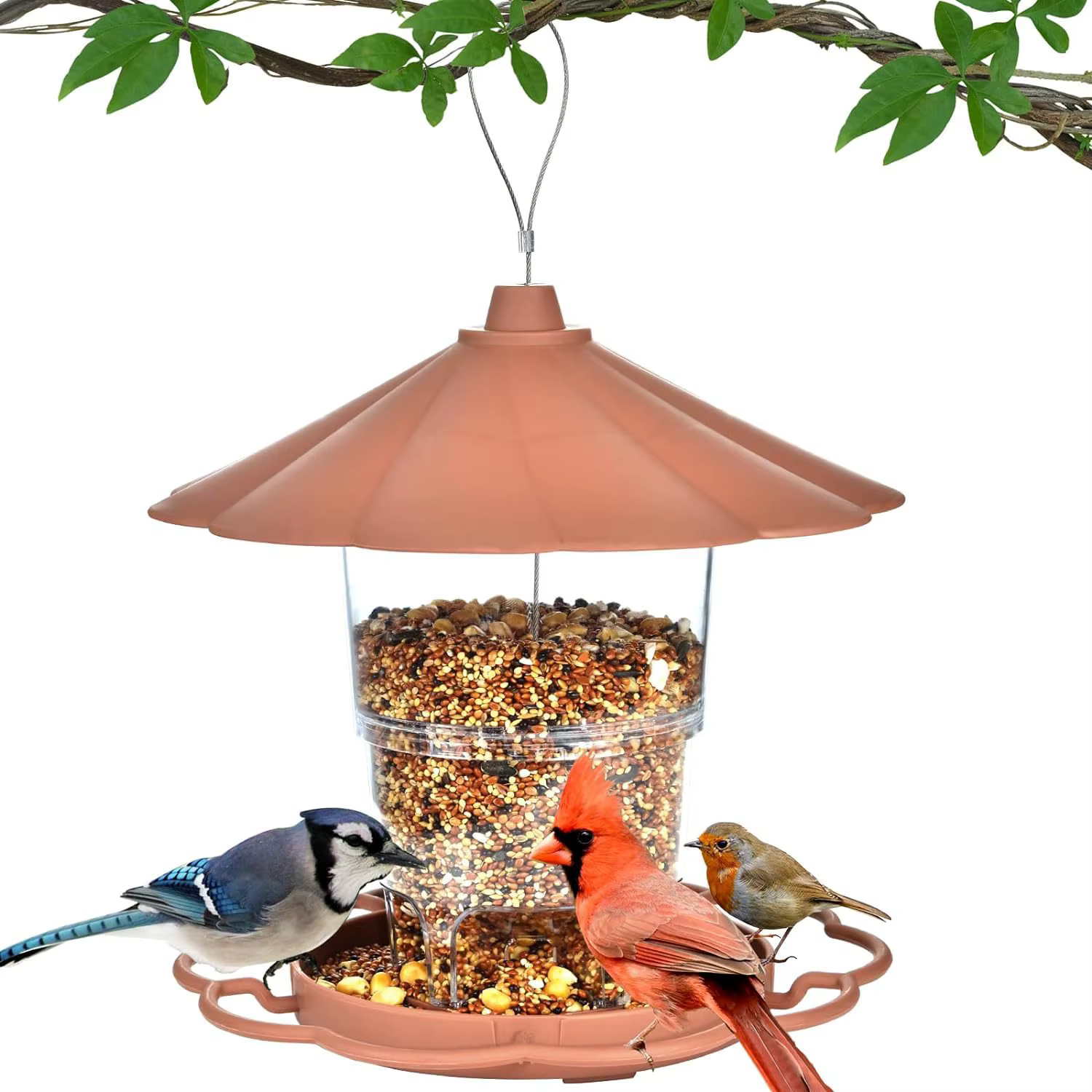 Backyard Bird Feeders Wild Bird Feeders Attract Diverse Birds with Elegant, Waterproof Lantern Bird Feeder for Outdoor Viewing