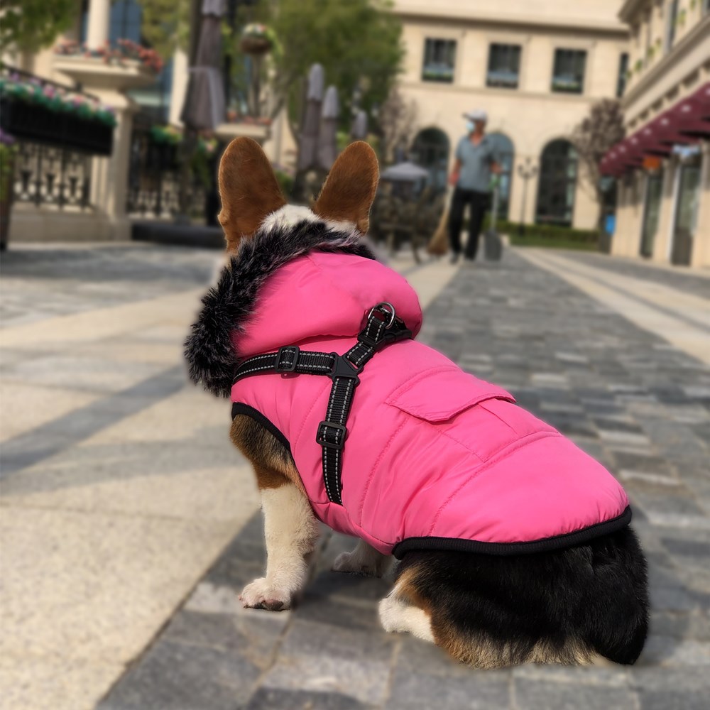 New Pet Cotton Clothes Reflective Warmth Dog Clothes Winter Wool Collar Plus Cotton Pet Clothing Cotton Vest Coat — image 3