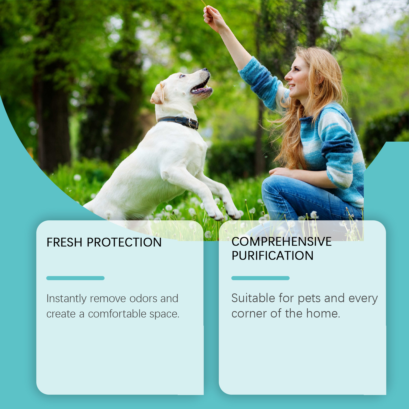 Spray de Odor para Mascotas, Eliminador de Olor para Perros y Gatos, Instantáneamente Elimina Malos Olores para Camas de Mascotas, Alfombras y Superficies del Hogar, 120ML — imagen 4