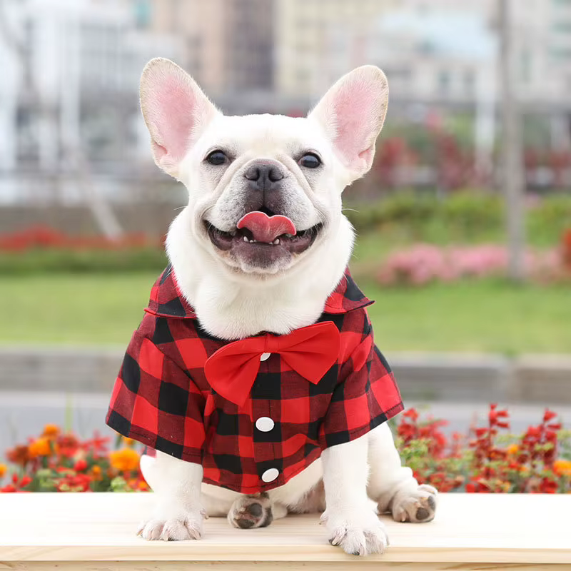 Pet Dog Clothes Plaid Shirt Suit Tie Gown Spring Summer Puppy Coat Teddy Bear Pomeranian Vest Small-Medium Dog Cat Pet Costume — image 6
