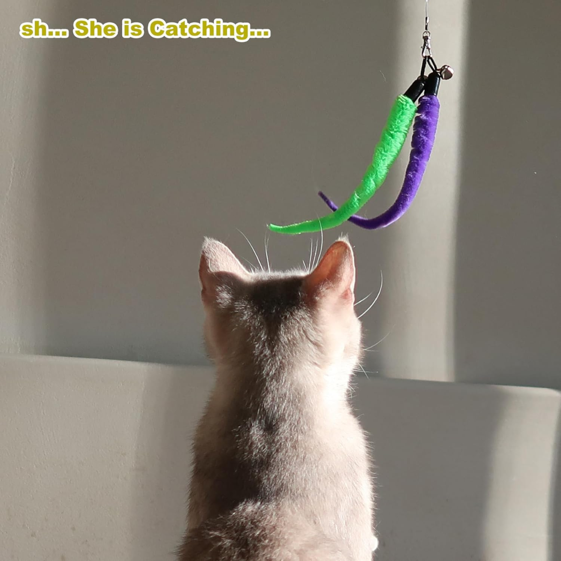 Juguetes para Gatos para Hogares Interiores: Lazo de Pecho y 9 Piezas de Refuerzos de Plumas — imagen 6