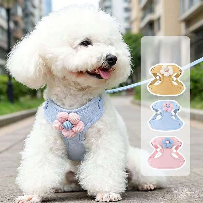 Conjunto de Arneso para Perros con Lazo de 1,5 m - Arneso Ajustable para Cachorros, Gatos, Bull Terrier y Pequeños Caninos para Paseos al Aire Libre — imagen 1