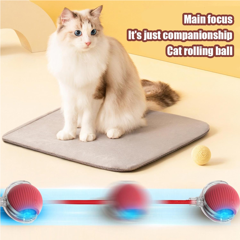 Pelota Rodante Interactiva para Gatos — imagen 12