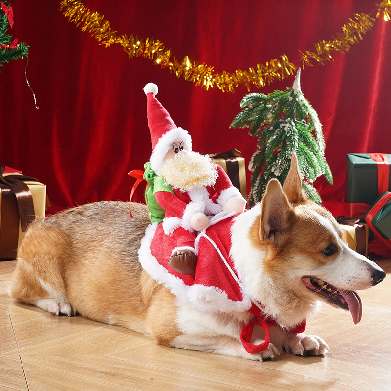 Disfraz de Navidad Divertido para Perros - Santa en un Vestido para Pequeños y Grandes Canes | Regalo de Fiestas y Año Nuevo — imagen 3