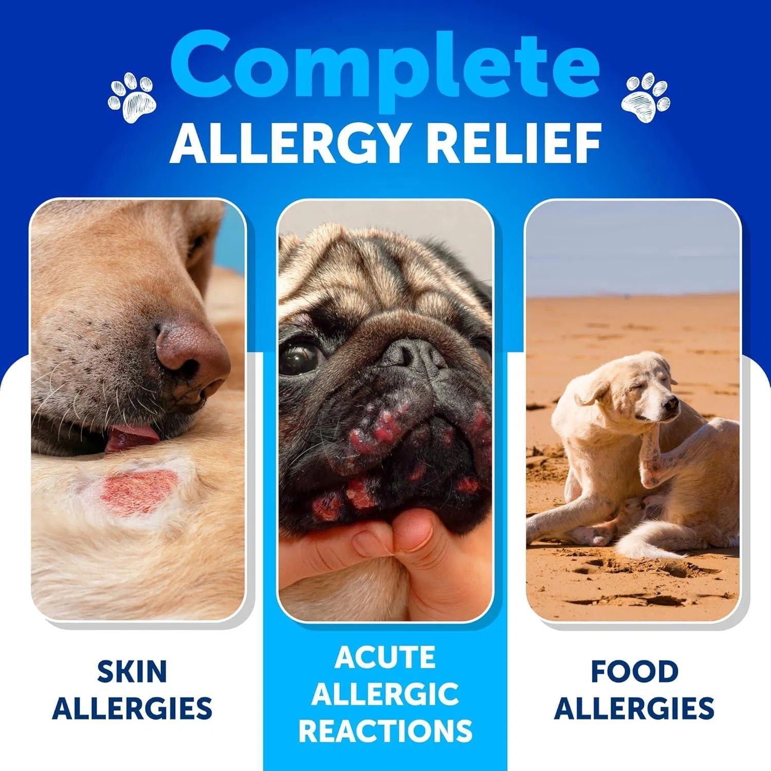 Probióticos para Perros - Apoyo a la Salud Intestinal, Piel Pruriginosa, Alergias y Inmunidad con Prebióticos — imagen 6