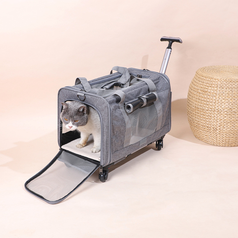 Travel Cat Carrier Summer Dog Pet Bag Foldable Cat Pet Box Breathable Portable Pet Trolley Case — image 2