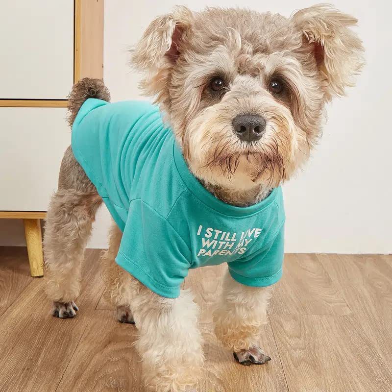 Ropa para Mascotas Camiseta de Cuello Redondo — imagen 1