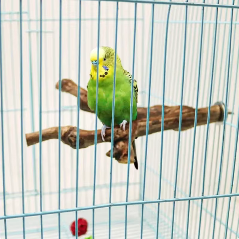 Palo de Estar para Mascotas Madera de Vino Silvestre: Palo de Pájaro para Periquitos y Cacatúas — imagen 6
