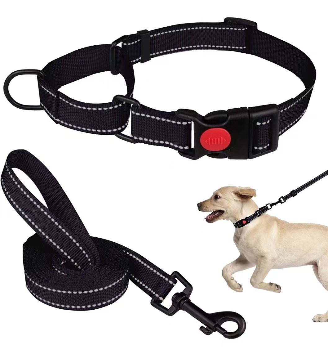 Collar de Perro - Conjunto de Collar y Correa Reflectante con Cuerda de Tensión — imagen 5