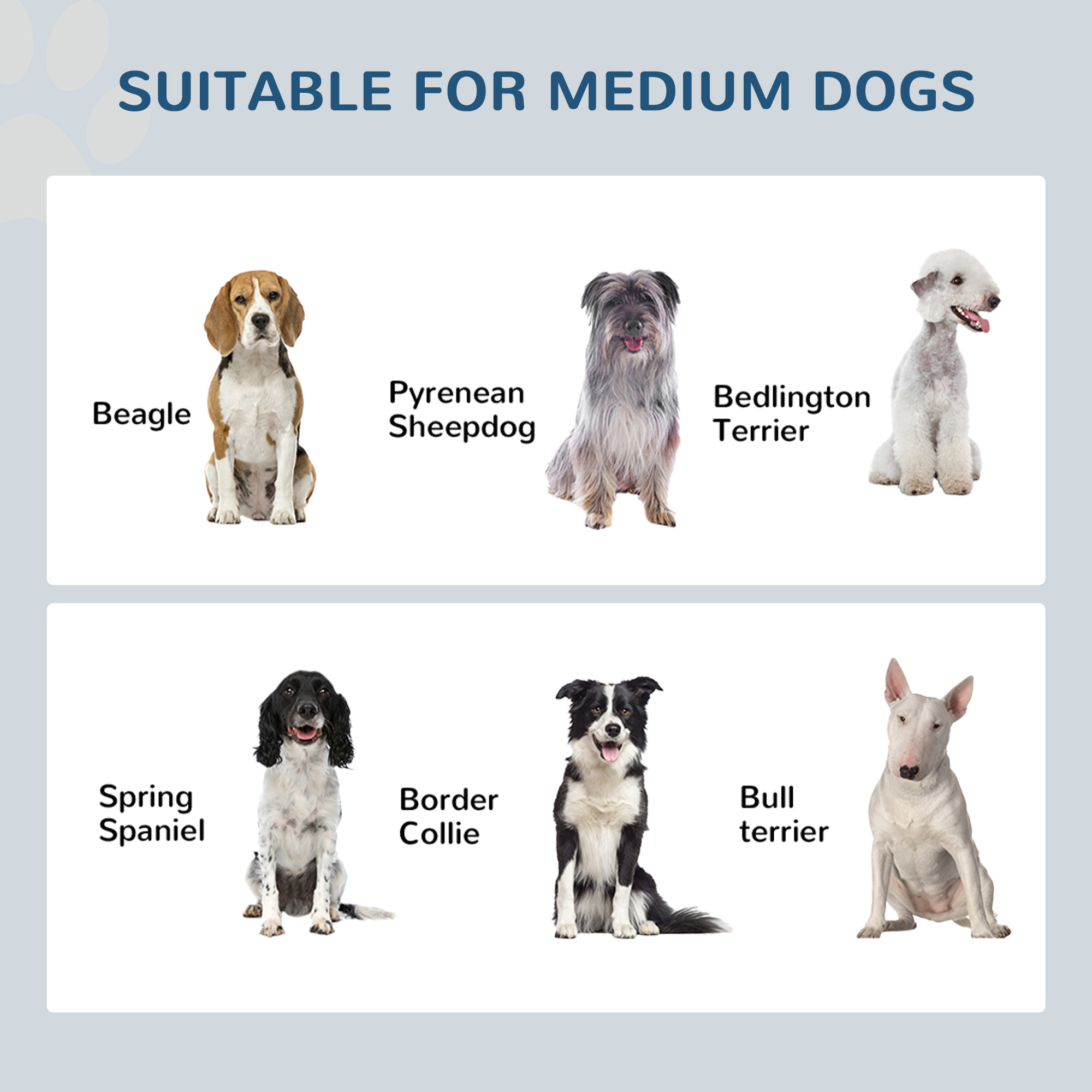 Comedor Elevado para Perros, Acero Inoxidable doble de Alta Calidad, Estación de Alimentación para Mascotas con Postura Saludable, 14" de Alto — imagen 7