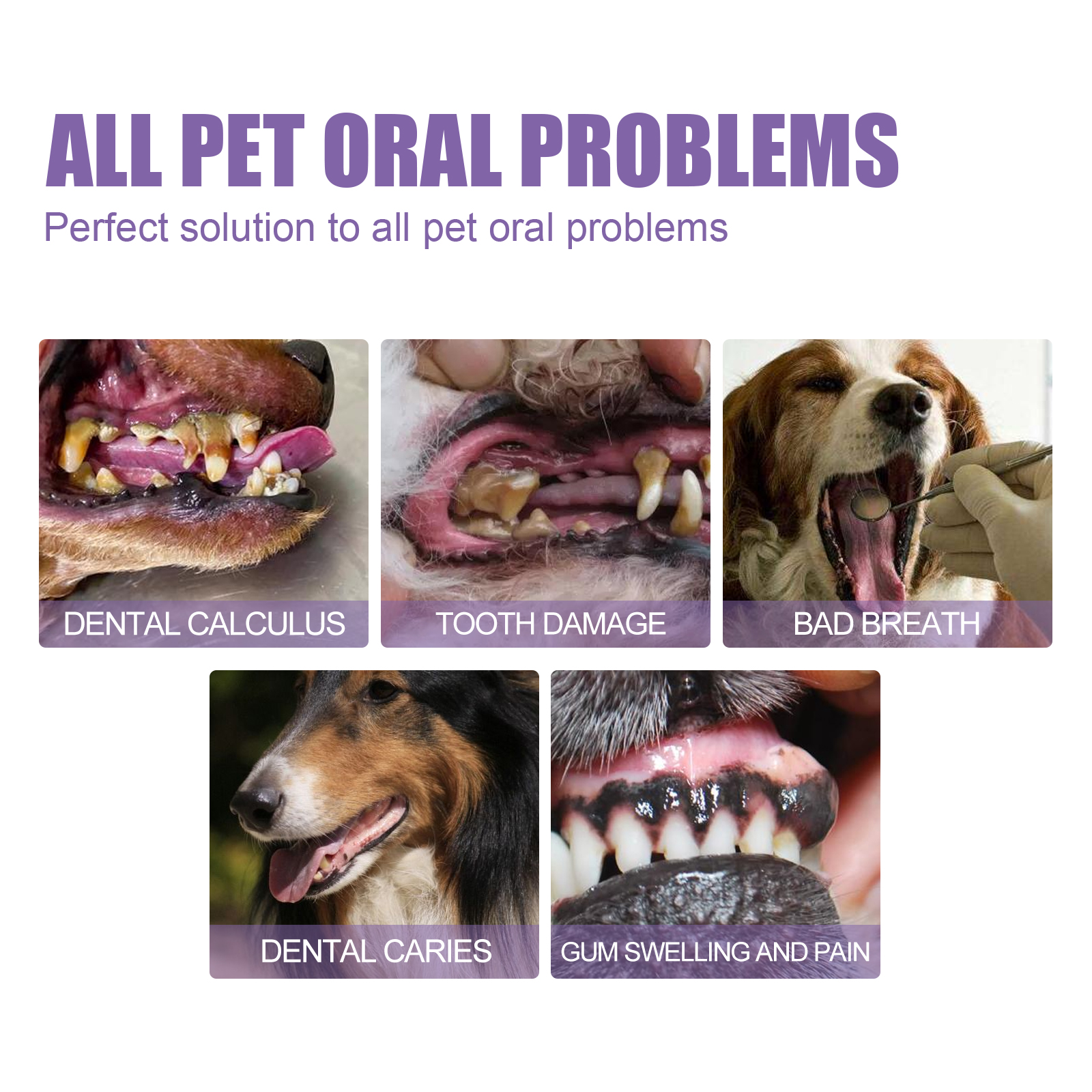Pet Oral Repair Gel, Deep Cleaning Dog And Cat Tooth Stains Oral Cleaning Care — image 7