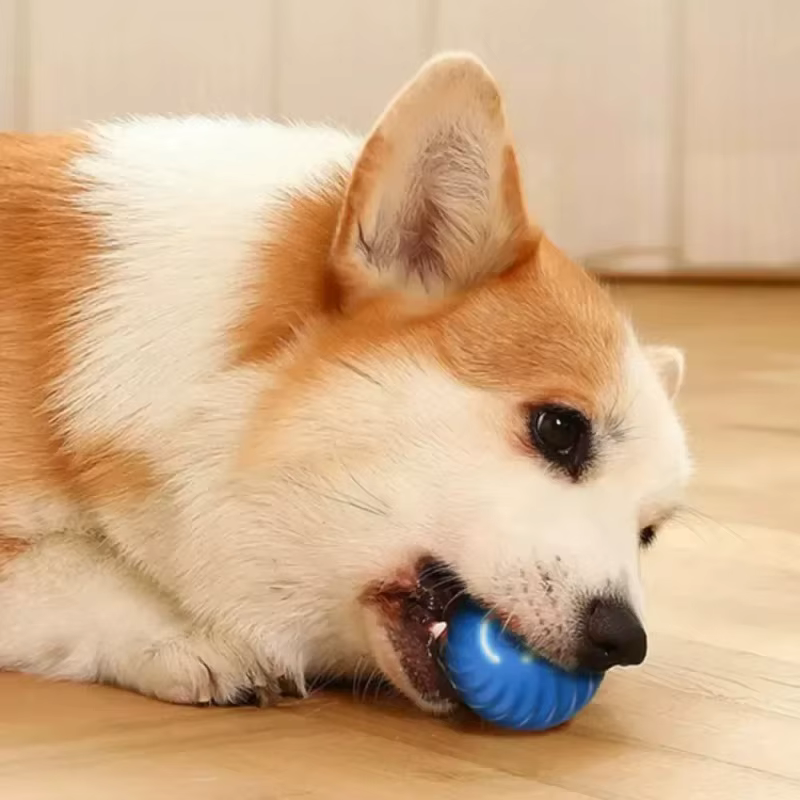 Pelota Interactiva Automática para Perros - Juguetes Inteligentes de Movimiento USB para Cachorros — imagen 3
