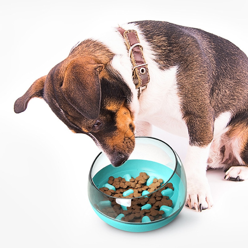 Pet Dog Bowls Puppy Slow Down Eating Feeding Bowl Dish Bowel Prevent Choking Obesity Dogs Supplies — image 5