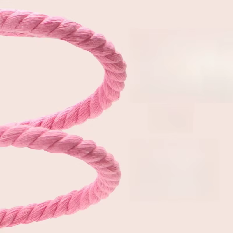 Parrot Climbing Toy Spiral Cotton Rope Bird Chewing Climbing Toys Parrot Swing Standing Toys Bird Supplies — image 4