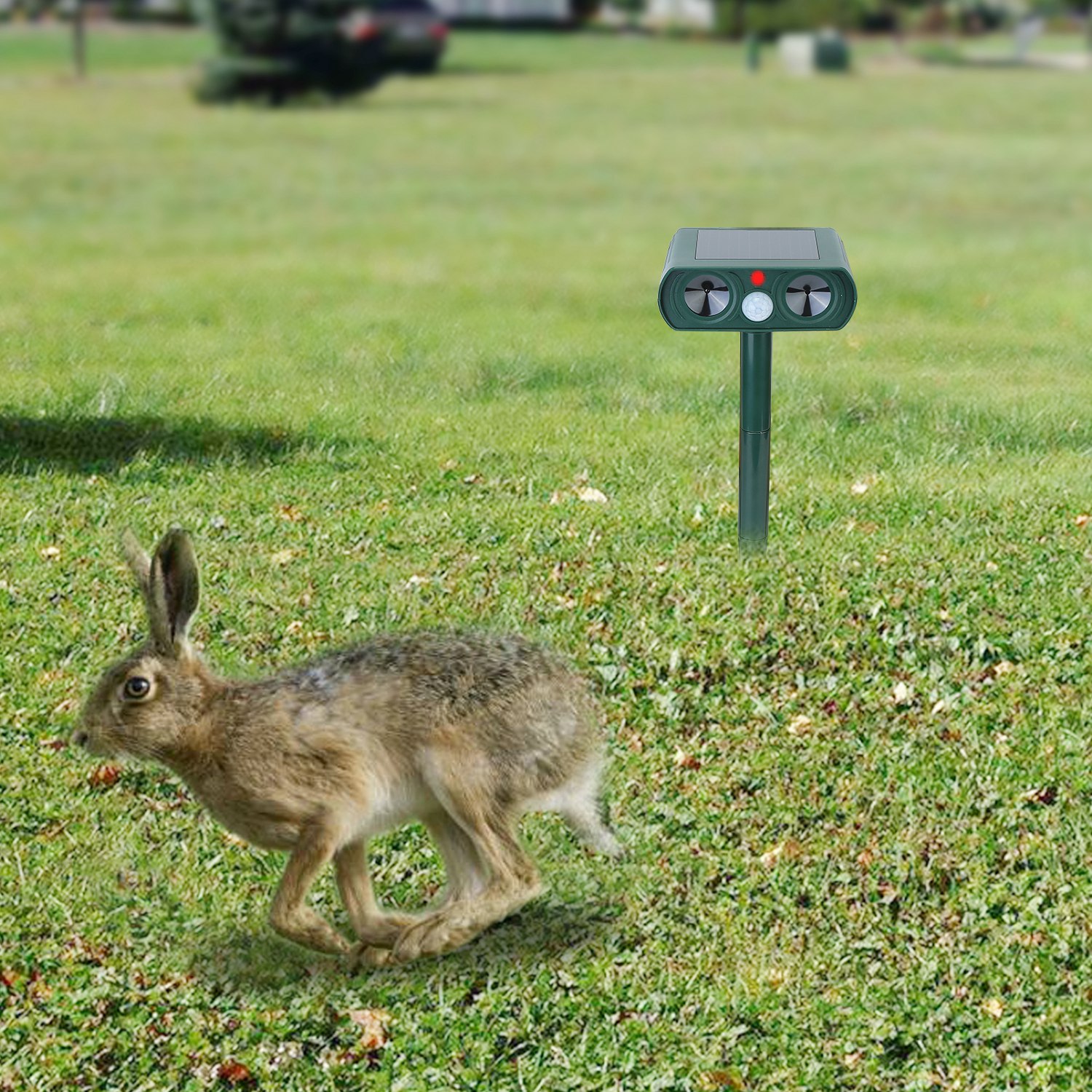 Repelente Ultrasonico para Animales para Jardín Patio con Energía Solar y Sensor de Movimiento IPX4 Resista agua Exterior para Verano Primavera Granja Jardín Patio Repeliendo Cérvidos Mapaches Gatos Perros Conejos Ardillas Pájaros — imagen 10