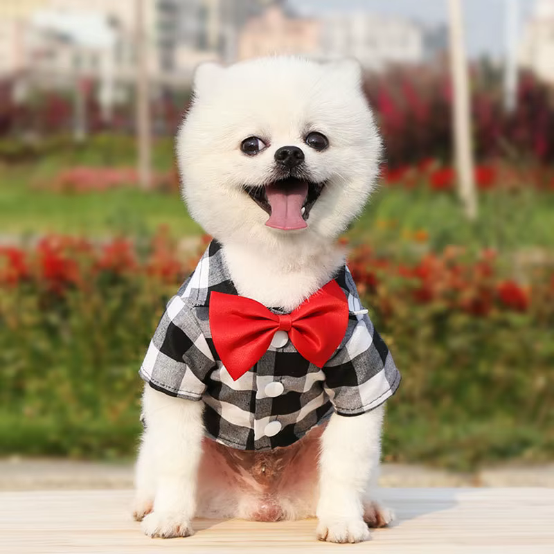 Pet Dog Clothes Plaid Shirt Suit Tie Gown Spring Summer Puppy Coat Teddy Bear Pomeranian Vest Small-Medium Dog Cat Pet Costume — image 5