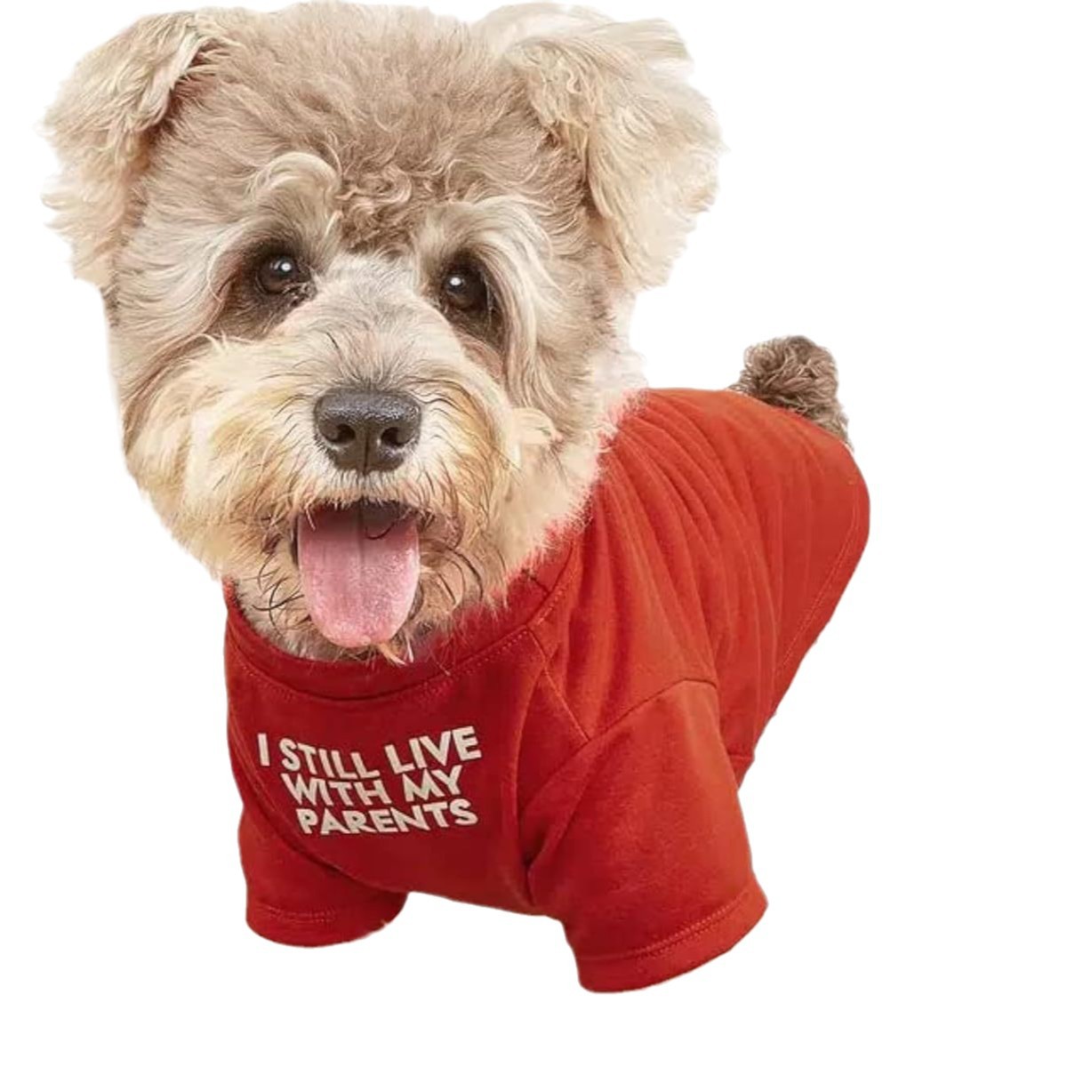 Ropa para Mascotas Camiseta de Cuello Redondo — imagen 7