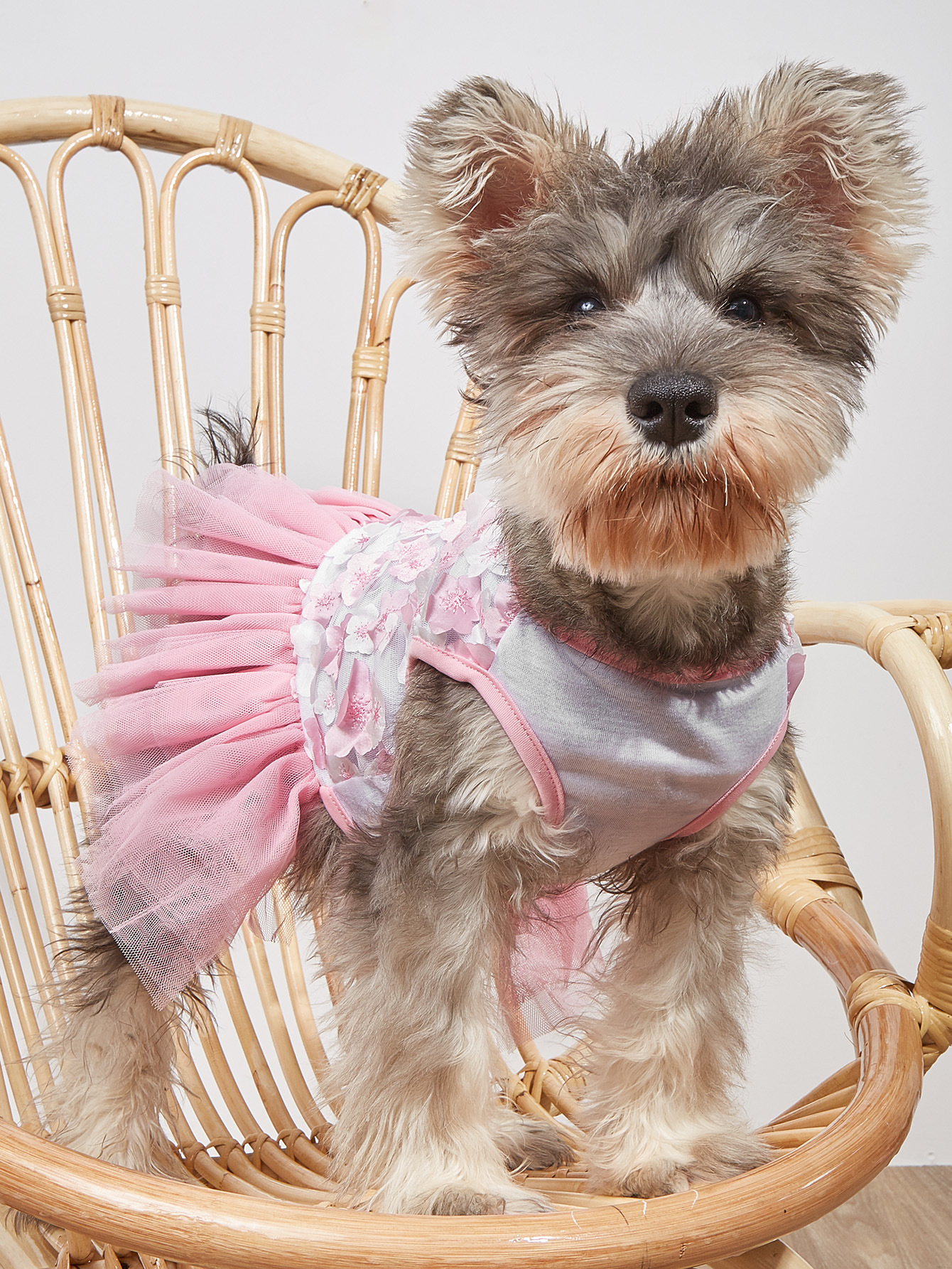 Ropa de Perro con Faldita Floral para Primavera y Verano - Falda Puff para Cachorros y Gatos Pequeños en Color Naranja — imagen 2