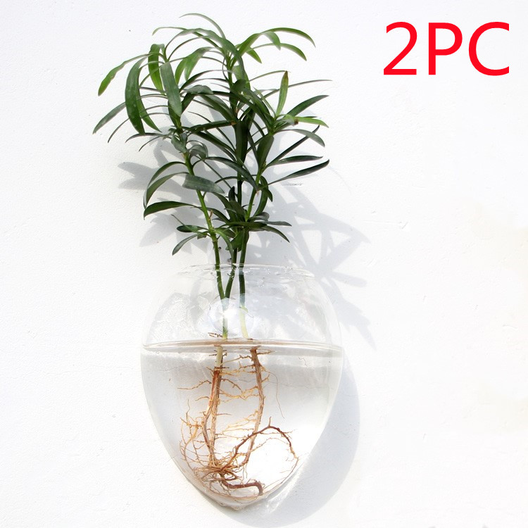 Vaso de Vidrio para Terrario Decorativo en Línea - Jardín Acuático para Hogar — imagen 29