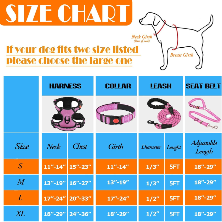 No Pull Dog Harness, Collar & Leash Set With Travel Accessories — image 3
