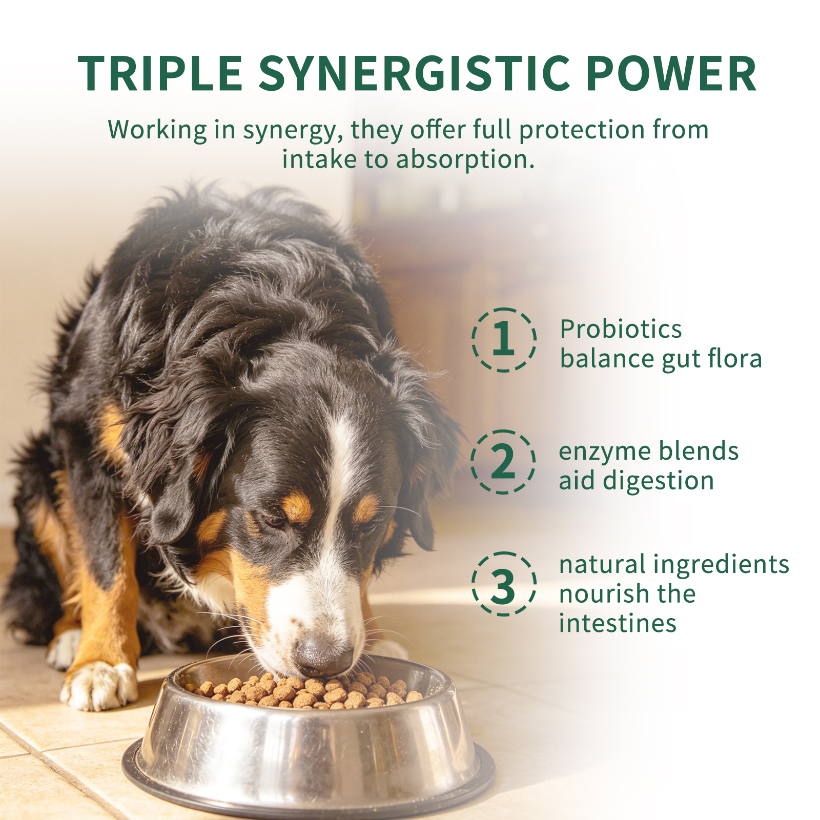 Probióticos Solo para Recoger - Para Perros — imagen 2