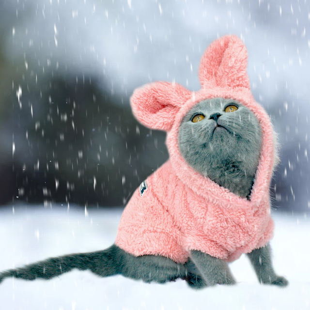 Warm Cat Clothes Winter Pet Puppy Kitten Coat Jacket For Small Medium Dogs Cats Chihuahua Yorkshire Clothing Costume Pink S-2XL — image 8