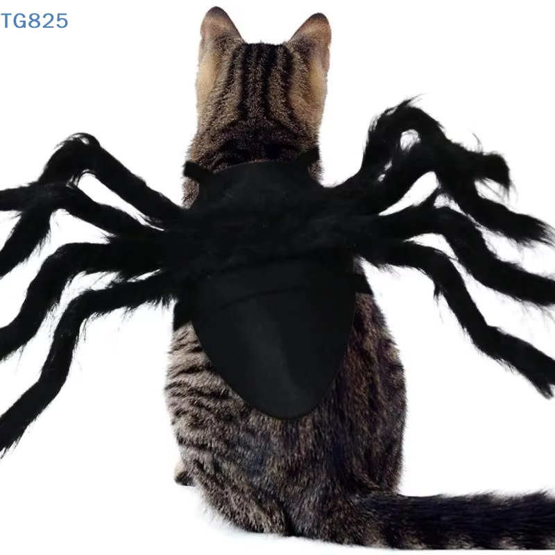 Disfraz de Araña para Mascotas: Transformación de Halloween con Ropa de Cosplay — imagen 1