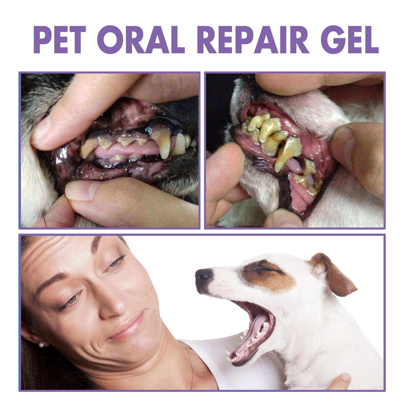 Pet Oral Repair Gel, Deep Cleaning Dog And Cat Tooth Stains Oral Cleaning Care — image 6