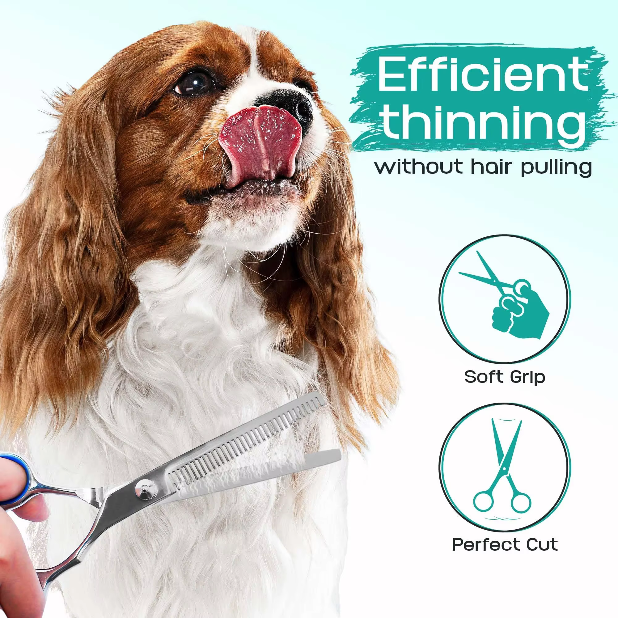 5 in 1 Professional Dogs Grooming Scissors Set Stainless Steel Dog and Cat Hair Thinning Shears with Safety Round Tip for Pet — image 4