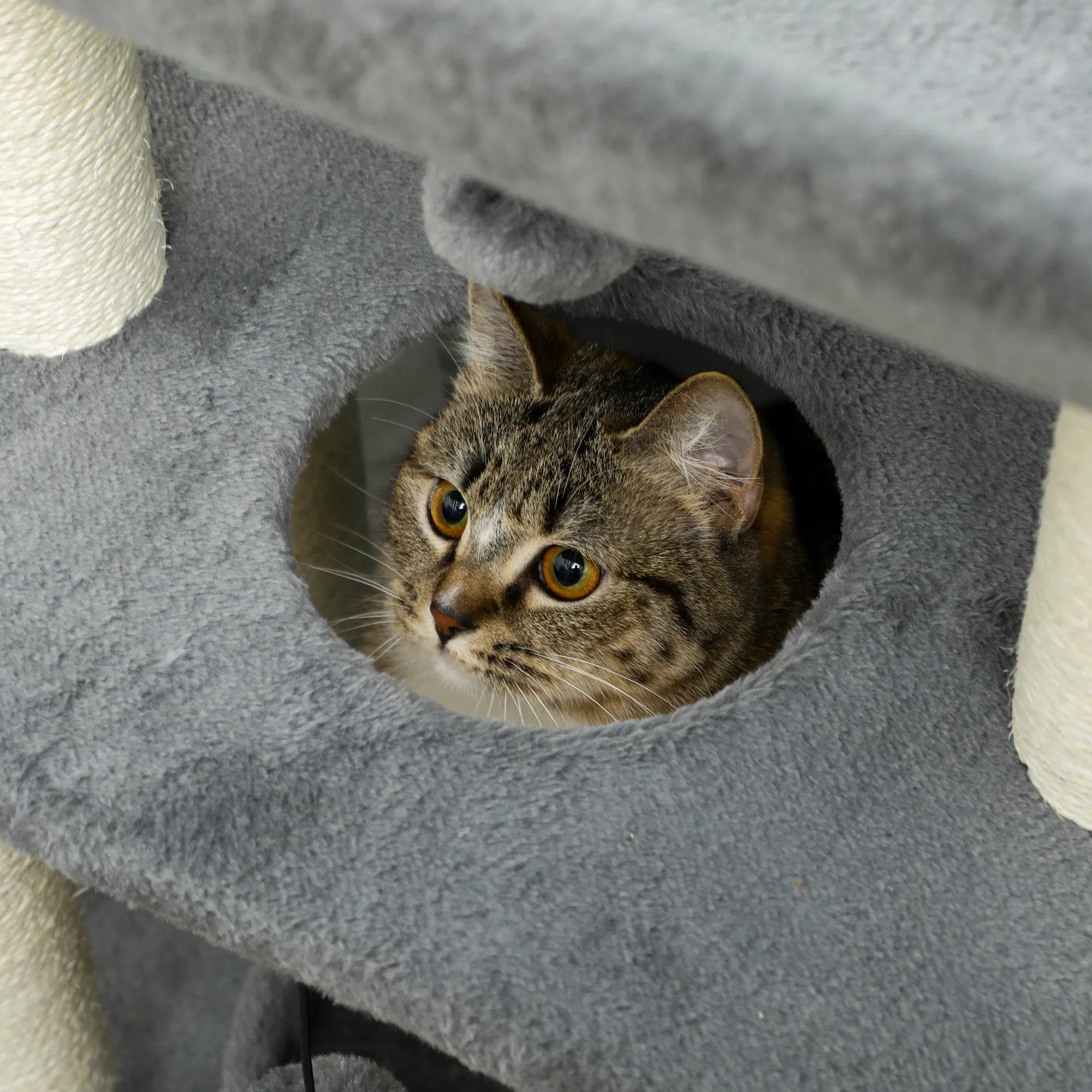 Small Cat Tree with Perch, Scratching Posts, Pad, Bed, Toy Balls, Light Grey — image 6